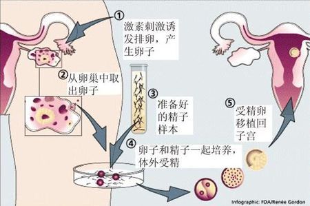 木棉医疗中心